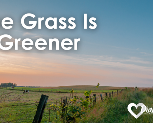 the grass is greener, farmland divided by a fence