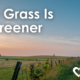 the grass is greener, farmland divided by a fence
