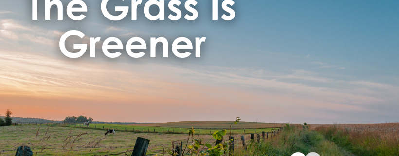 the grass is greener, farmland divided by a fence